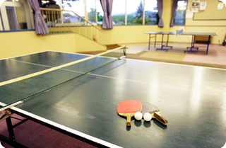 Table Tennis Corner
