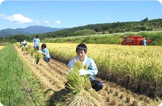 Various Hands-on Activities such as Farming Experience