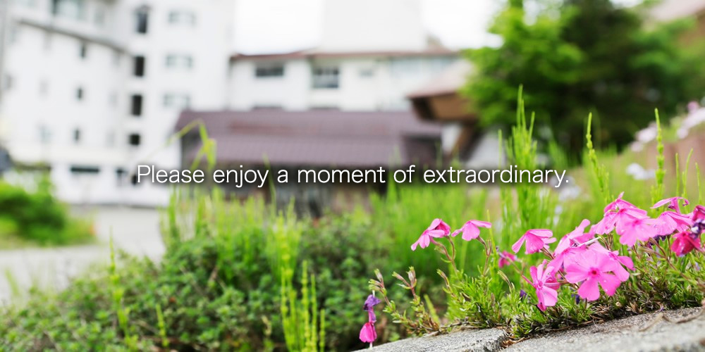 Embrace moments of extraordinary experiences